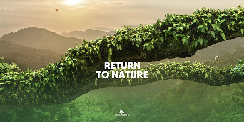 Rainforest Foods