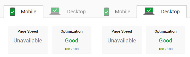 Perfect Google Page Speed score on our latest project.